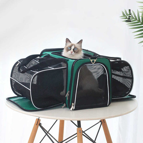 Mochila transportadora expansible para perros y gatos MochiPatas